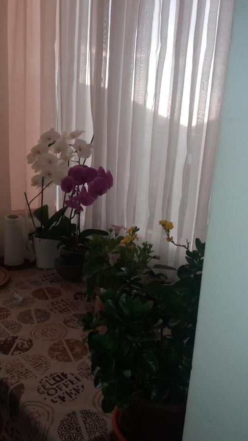 Appartement Jorali à Oradea Extérieur photo